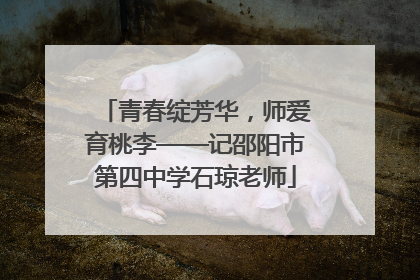 青春绽芳华，师爱育桃李——记邵阳市第四中学石琼老师