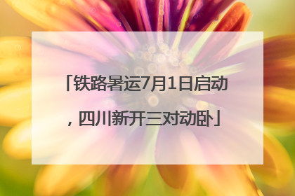 铁路暑运7月1日启动，四川新开三对动卧