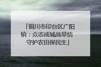铜川市印台区广阳镇：众志成城战旱情 守护农田保民生