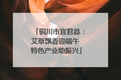 铜川市宜君县：艾草飘香迎端午 特色产业助振兴