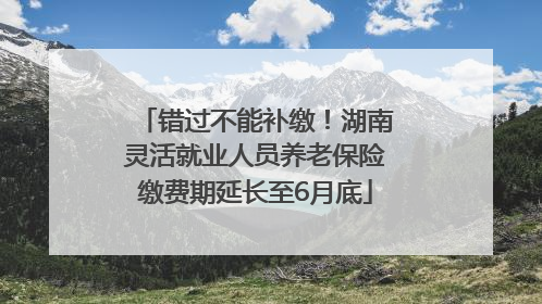 错过不能补缴！湖南灵活就业人员养老保险缴费期延长至6月底