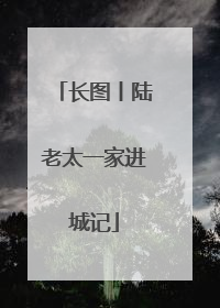 长图丨陆老太一家进城记
