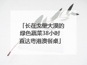 长在戈壁大漠的绿色蔬菜38小时直达粤港澳餐桌