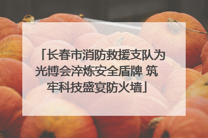 长春市消防救援支队为光博会淬炼安全盾牌 筑牢科技盛宴防火墙