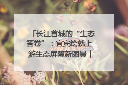 长江首城的“生态答卷”：宜宾绘就上游生态屏障新图景｜中华环保世纪行