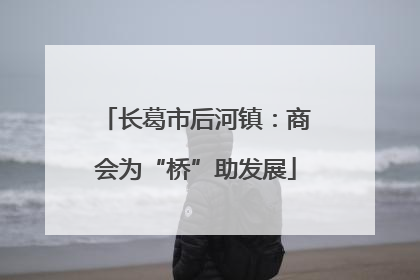 长葛市后河镇：商会为“桥”助发展