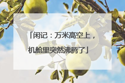 闲记：万米高空上，机舱里突然沸腾了