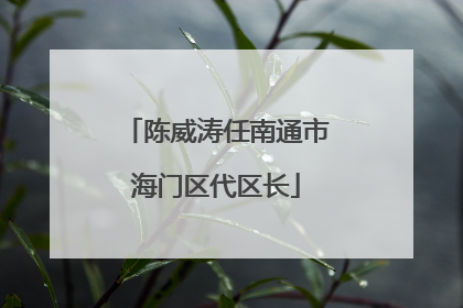 陈威涛任南通市海门区代区长
