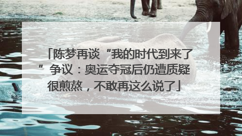 陈梦再谈“我的时代到来了”争议：奥运夺冠后仍遭质疑很煎熬，不敢再这么说了