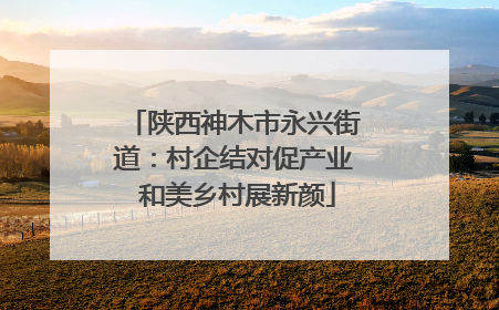 陕西神木市永兴街道：村企结对促产业 和美乡村展新颜