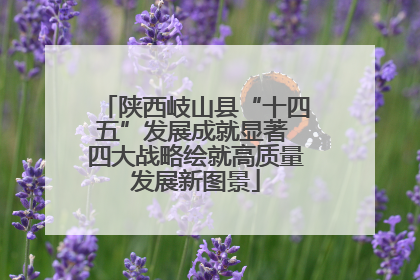 陕西岐山县“十四五”发展成就显著 四大战略绘就高质量发展新图景