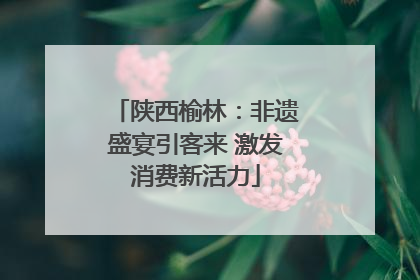 陕西榆林：非遗盛宴引客来 激发消费新活力