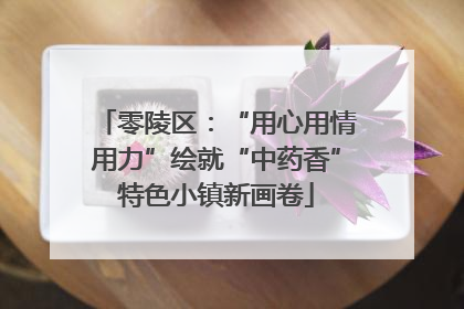 零陵区：“用心用情用力”绘就“中药香”特色小镇新画卷