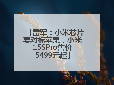 雷军：小米芯片要对标苹果，小米15SPro售价5499元起
