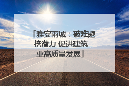 雅安雨城：破难题 挖潜力 促进建筑业高质量发展