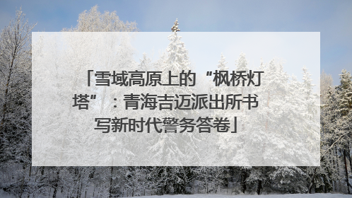 雪域高原上的“枫桥灯塔”：青海吉迈派出所书写新时代警务答卷
