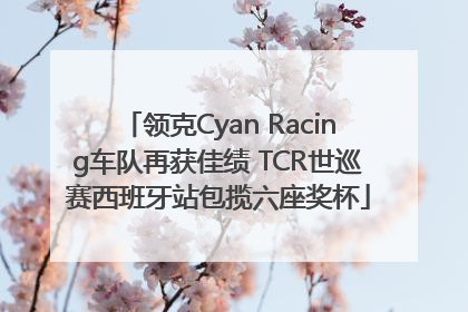 领克Cyan Racing车队再获佳绩 TCR世巡赛西班牙站包揽六座奖杯