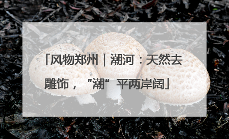风物郑州｜潮河：天然去雕饰，“潮”平两岸阔