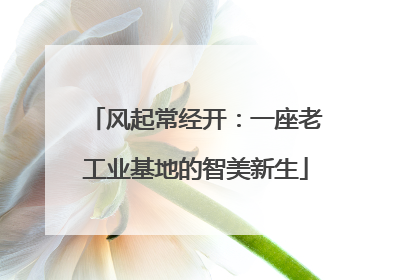 风起常经开：一座老工业基地的智美新生