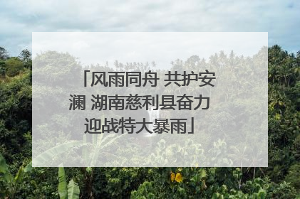 风雨同舟 共护安澜 湖南慈利县奋力迎战特大暴雨