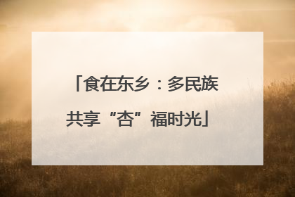 食在东乡：多民族共享“杏”福时光