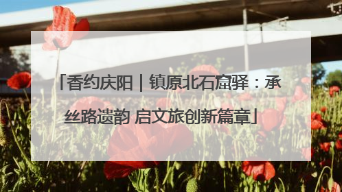 香约庆阳｜镇原北石窟驿：承丝路遗韵 启文旅创新篇章