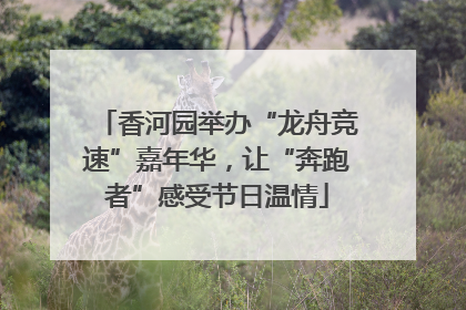 香河园举办“龙舟竞速”嘉年华，让“奔跑者”感受节日温情