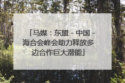 马媒：东盟－中国－海合会峰会助力释放多边合作巨大潜能