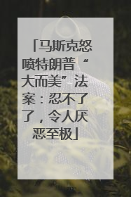 马斯克怒喷特朗普“大而美”法案：忍不了了，令人厌恶至极