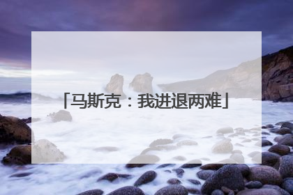 马斯克：我进退两难