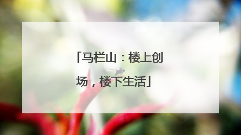 马栏山：楼上创场，楼下生活