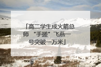 高二学生成火箭总师 “手搓”飞燕一号突破一万米