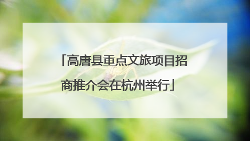 高唐县重点文旅项目招商推介会在杭州举行