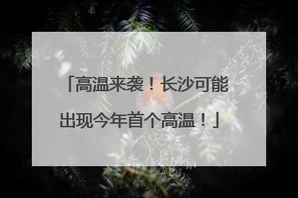 高温来袭！长沙可能出现今年首个高温！