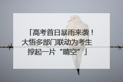 高考首日暴雨来袭！大悟多部门联动为考生撑起一片“晴空”