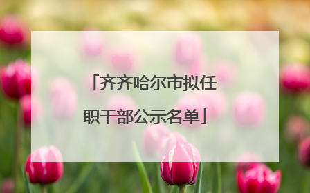 齐齐哈尔市拟任职干部公示名单
