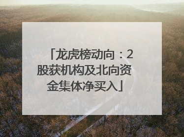 龙虎榜动向：2股获机构及北向资金集体净买入