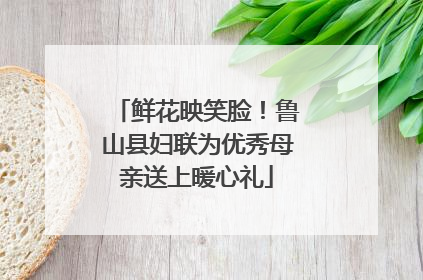 鲜花映笑脸！鲁山县妇联为优秀母亲送上暖心礼