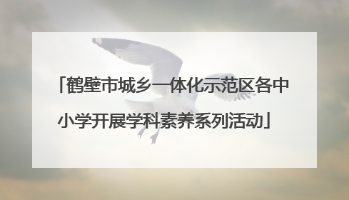 鹤壁市城乡一体化示范区各中小学开展学科素养系列活动