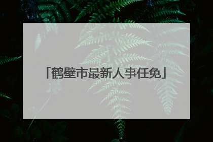 鹤壁市最新人事任免