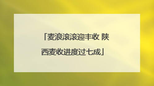 麦浪滚滚迎丰收 陕西麦收进度过七成