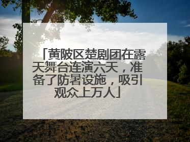 黄陂区楚剧团在露天舞台连演六天，准备了防暑设施，吸引观众上万人