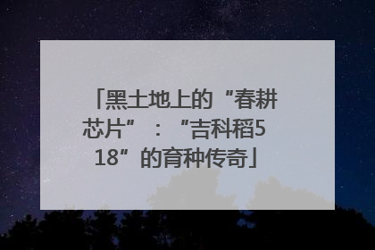 黑土地上的“春耕芯片”：“吉科稻518”的育种传奇