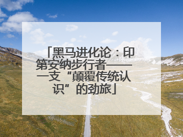 黑马进化论：印第安纳步行者——一支“颠覆传统认识”的劲旅