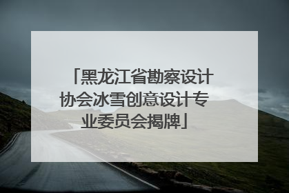 黑龙江省勘察设计协会冰雪创意设计专业委员会揭牌