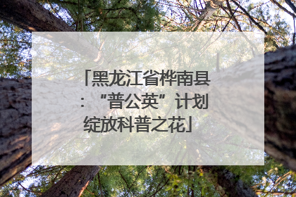 黑龙江省桦南县：“普公英”计划绽放科普之花