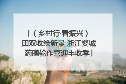 （乡村行·看振兴）一田双收绘新景 浙江婺城药膳轮作喜迎丰收季