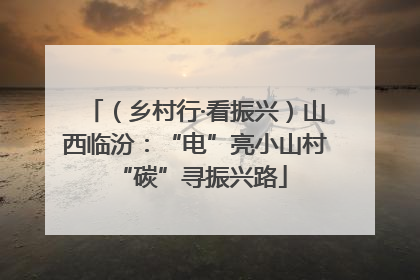 （乡村行·看振兴）山西临汾：“电”亮小山村 “碳”寻振兴路