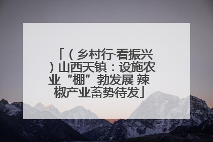 （乡村行·看振兴）山西天镇：设施农业“棚”勃发展 辣椒产业蓄势待发