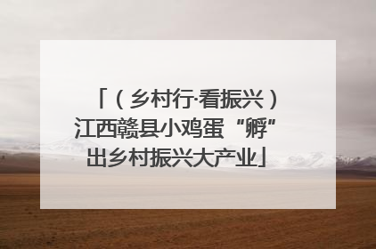 （乡村行·看振兴）江西赣县小鸡蛋“孵”出乡村振兴大产业